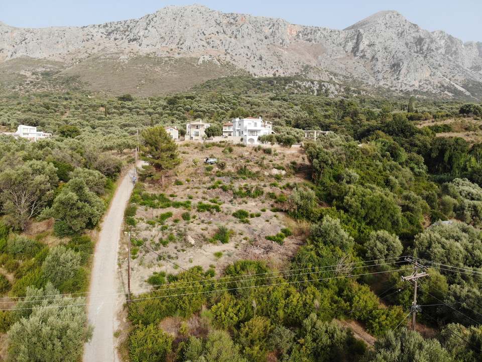 The THEA PANORAMA plot among the olive trees, with the mountains behind